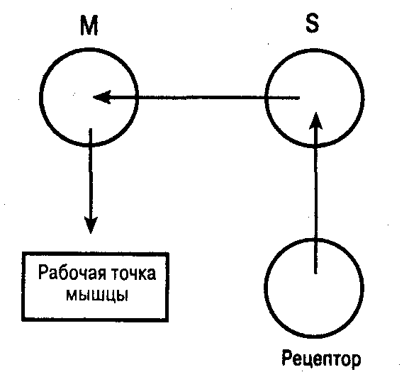 Общая психология