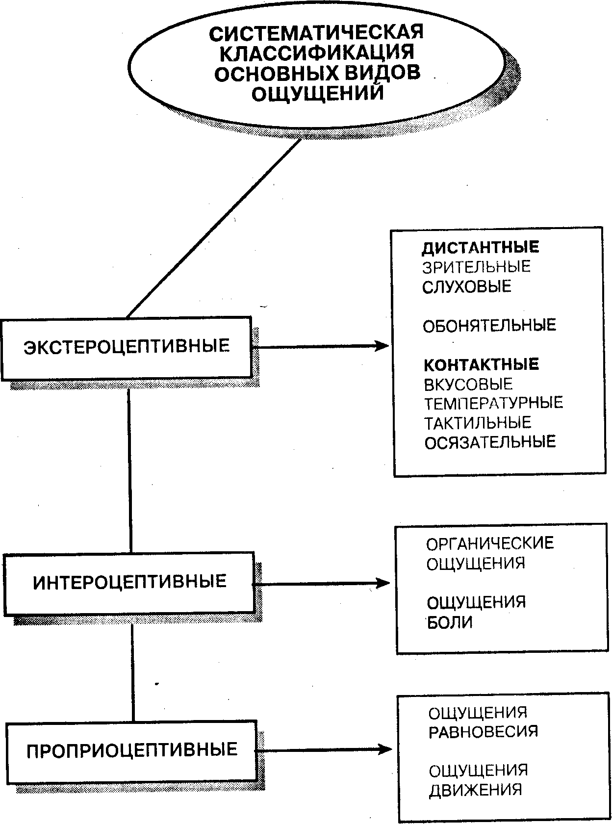 Общая психология
