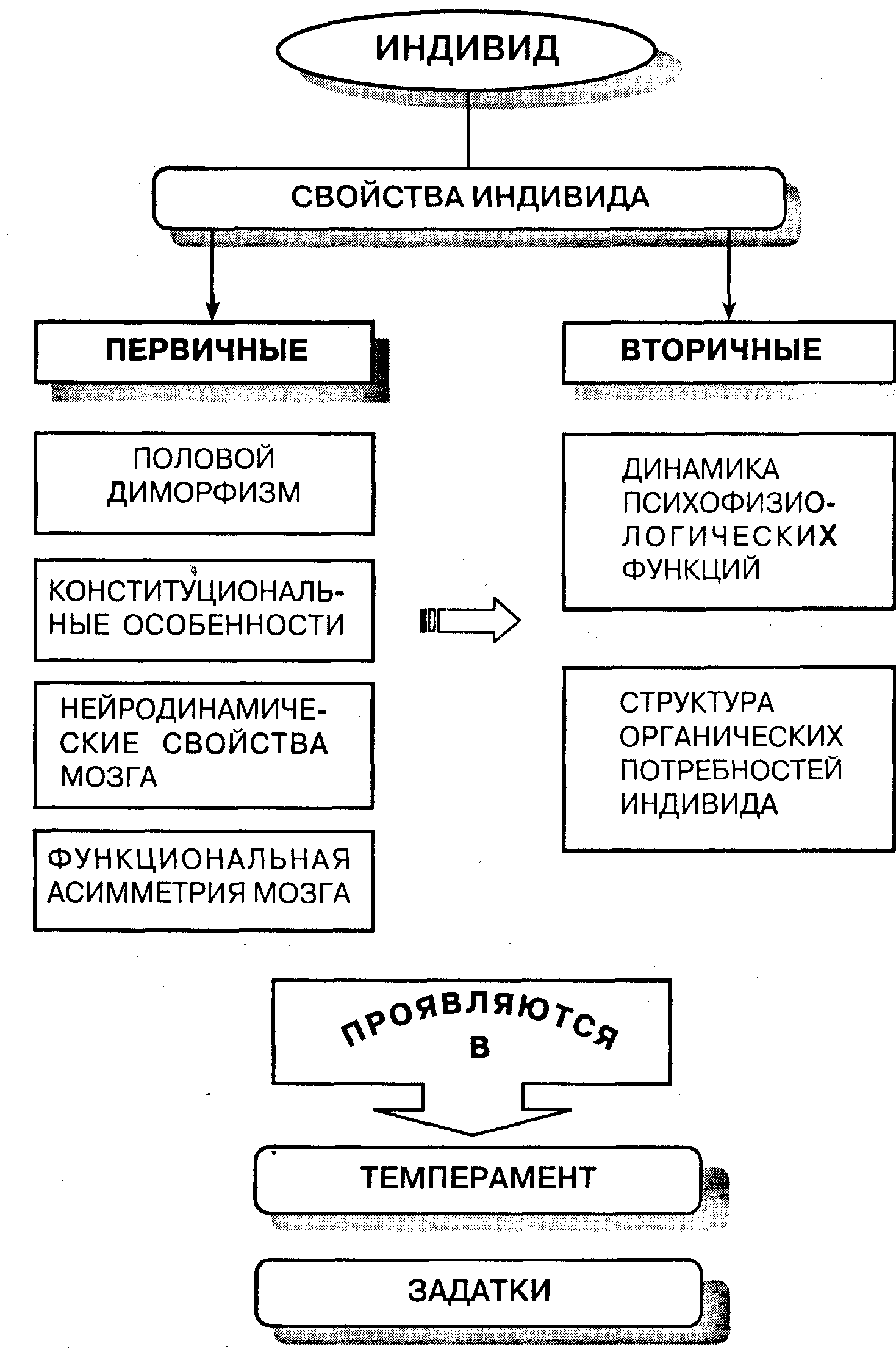 Общая психология