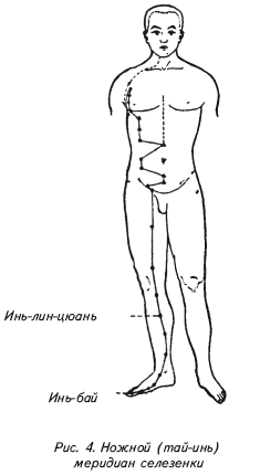 Китайская медицина для всей семьи