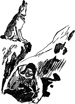 Карай (Проводник С.Р.С.)