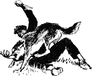 Карай (Проводник С.Р.С.)