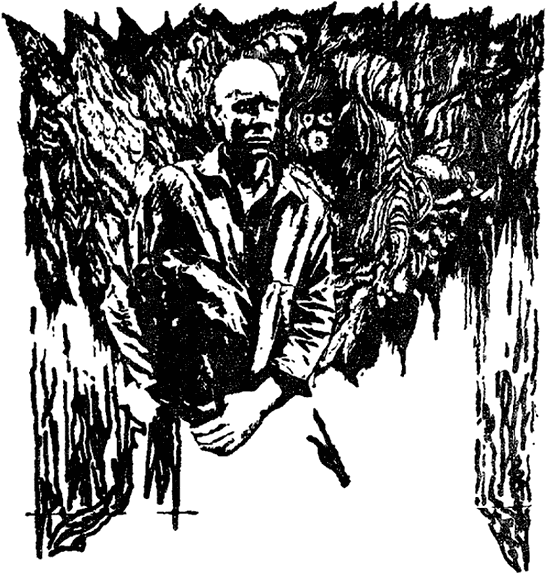 Искатель 1987 #05