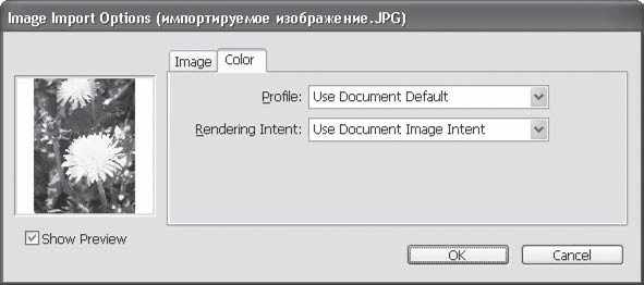Adobe InDesign CS3