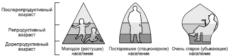 Географическая картина мира Пособие для вузов Кн. I: Общая характеристика мира. Глобальные проблемы человечества