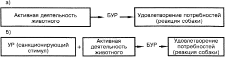 Кинологическое обеспечение деятельности органов и войск МВД РФ