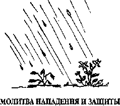 Зачем поет Птица?