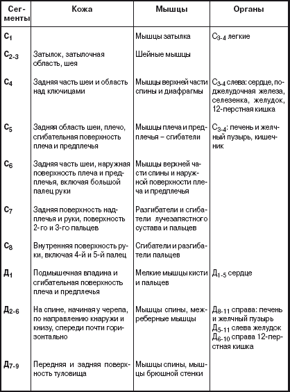 Позвоночник и суставы. Лечение и профилактика