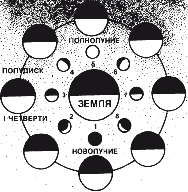 Позвоночник и суставы. Лечение и профилактика