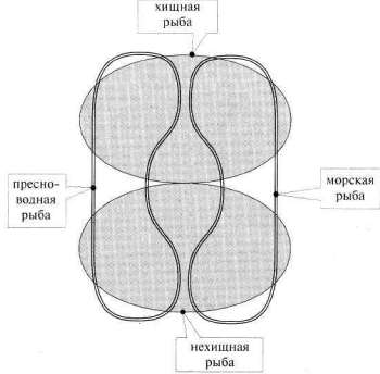 Лабиринты мышления, или Учеными не рождаются