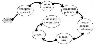 Лабиринты мышления, или Учеными не рождаются