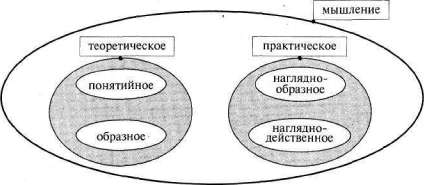 Лабиринты мышления, или Учеными не рождаются