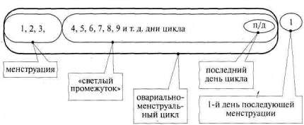 Лабиринты мышления, или Учеными не рождаются