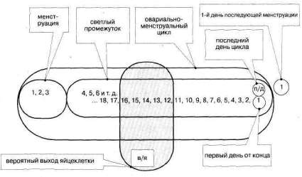 Лабиринты мышления, или Учеными не рождаются