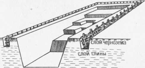 Ловись, рыбка...