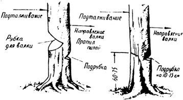 Спутник партизана