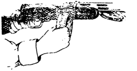 Спутник партизана