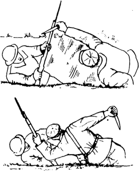 Спутник партизана