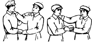 Спутник партизана