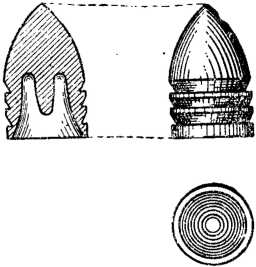 История винтовки