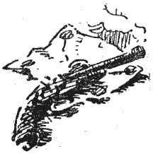 Костры на сопках