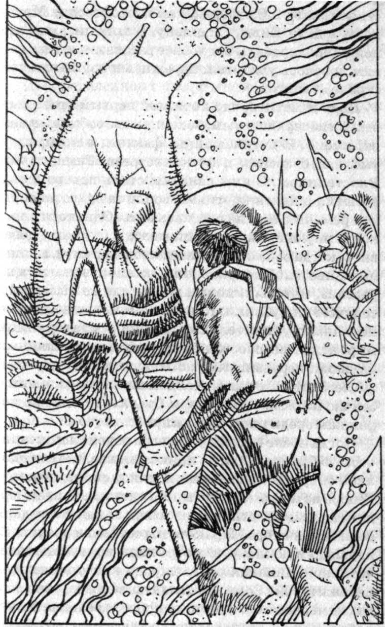 Топор с посеребренной рукоятью (сборник)