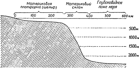 Морское дно