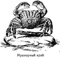 Волны над нами