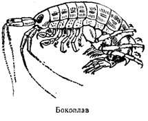 Волны над нами
