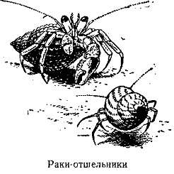 Волны над нами
