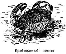 Волны над нами