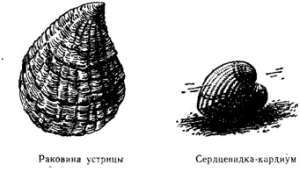 Волны над нами