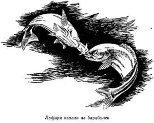 Волны над нами