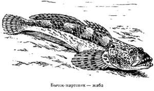 Волны над нами