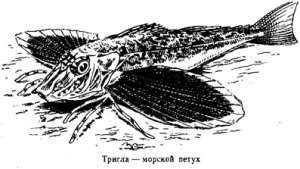Волны над нами