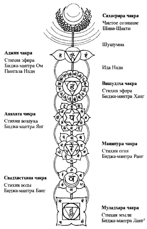 Пранаяма. Сознательный способ дыхания.