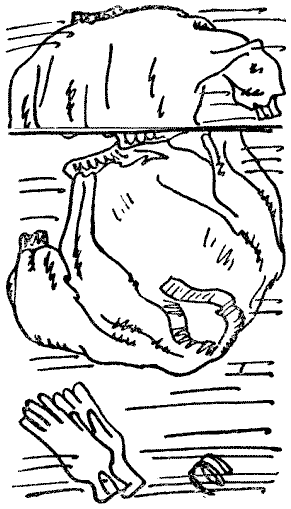 Два и две семерки