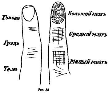 Полный курс хиромантии