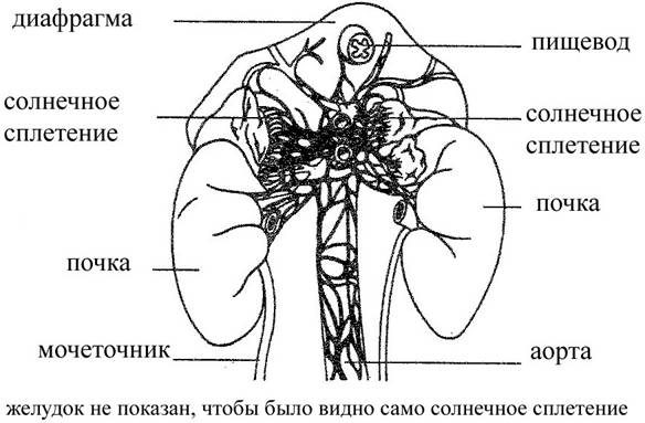 Аутогенная тренировка