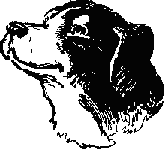 Про косматых и пернатых (рассказы)