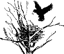 Про косматых и пернатых (рассказы)