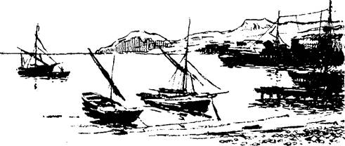 Сокровище Черного моря