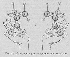 Вселенная, жизнь, разум