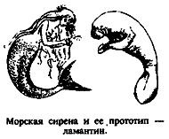 Чудовища морских глубин
