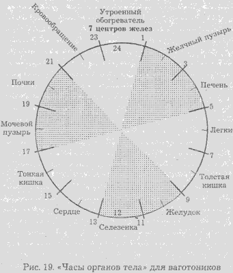 Сексуальная энергия. Ключ к здоровью и процветанию