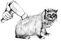 Сиамские кошки