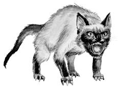 Сиамские кошки