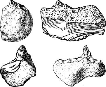 Неизвестная история человечества