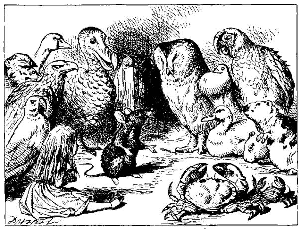Alice's adventures in Wonderland