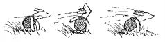 The house at Pooh Corner